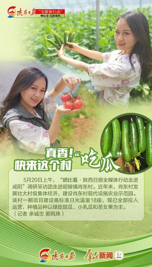 吃瓜真香小说免费阅读,揭秘小说中的甜蜜诱惑与情感纠葛  第1张